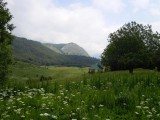 02. Zelengora